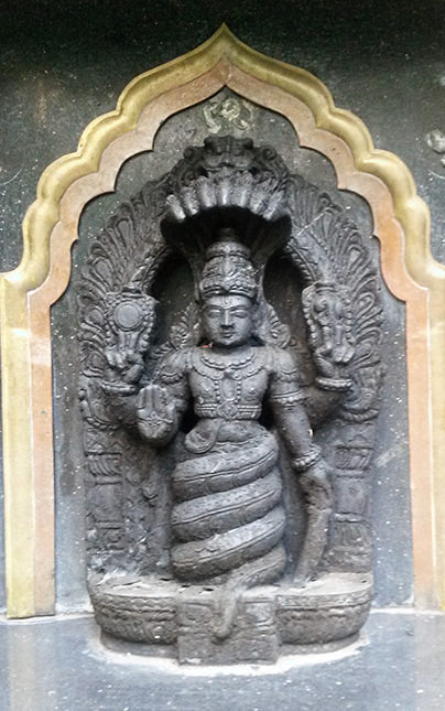 yogaorigini